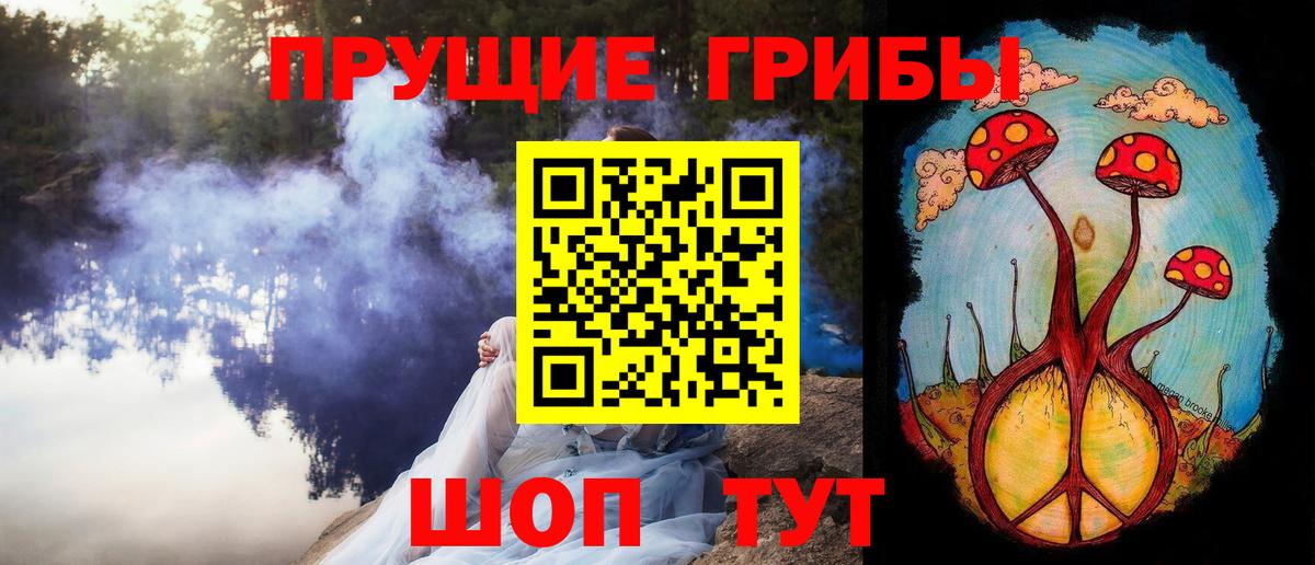 Галлюциногенные грибы Psilocybe Гусиноозёрск