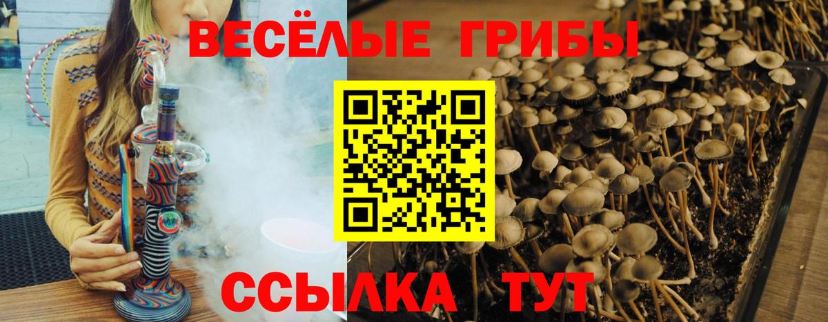 Гусиноозёрск  Псилоцибиновые грибы мухоморы  Вход с VPN 